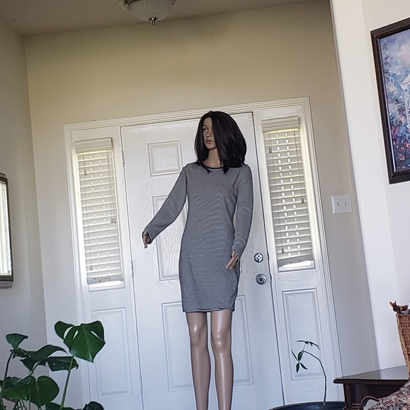 Everly L shift dress striped low scoop back slip on blue piping - Picture 1 of 8